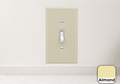 Tecton Nook™ – Toggle Wall Plate